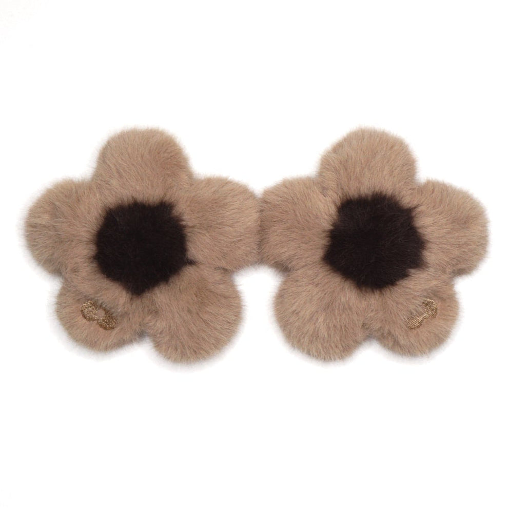 teddy